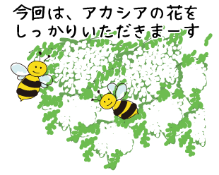 セイヨウミツバチの行動
